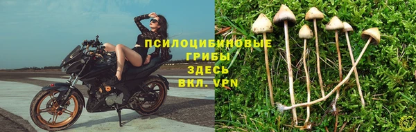 марки lsd Новодвинск