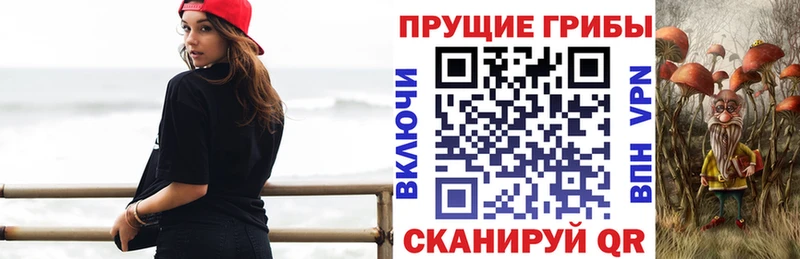 где найти наркотики  Бакал  это клад  Псилоцибиновые грибы GOLDEN TEACHER 