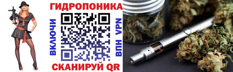 Бошки Шишки OG Kush  Бакал 